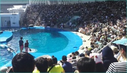 うみの杜水族館