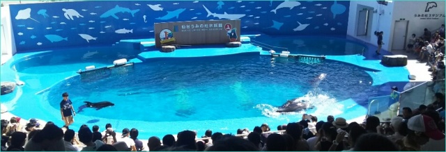 うみの杜水族館