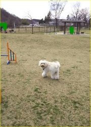 ドックラン、みちのく湖畔公園